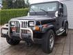 Jeep Wrangler 4.0 Automatik ABS EURO 2 grüne Plakette