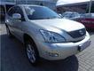 Lexus RX 300 Luxury Hagelschadenpreis